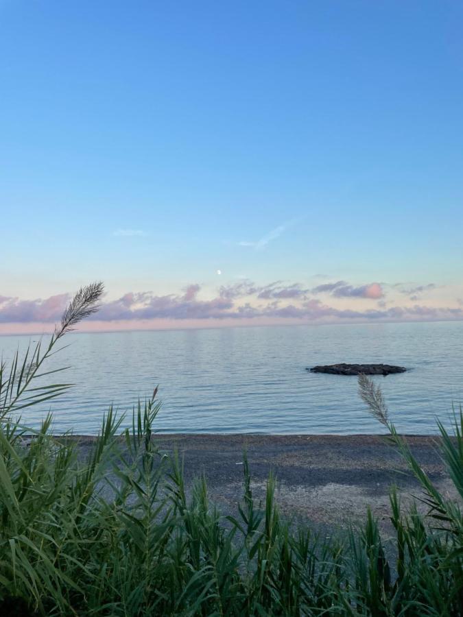 Bistrot Del Mare Leilighet Santo Stefano al Mare Eksteriør bilde